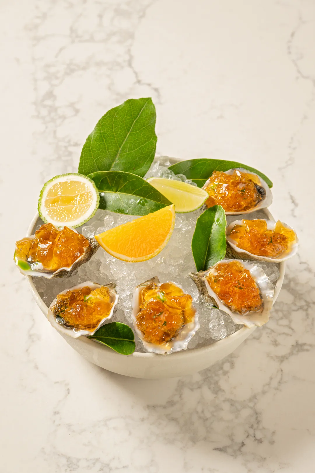 Grassy Bar oysters on ice with citrus and mignonette gelee
