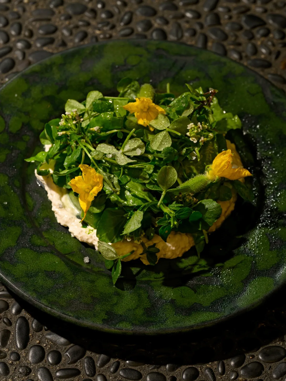 Watercress and squash blossom salad on a green ceramic plate