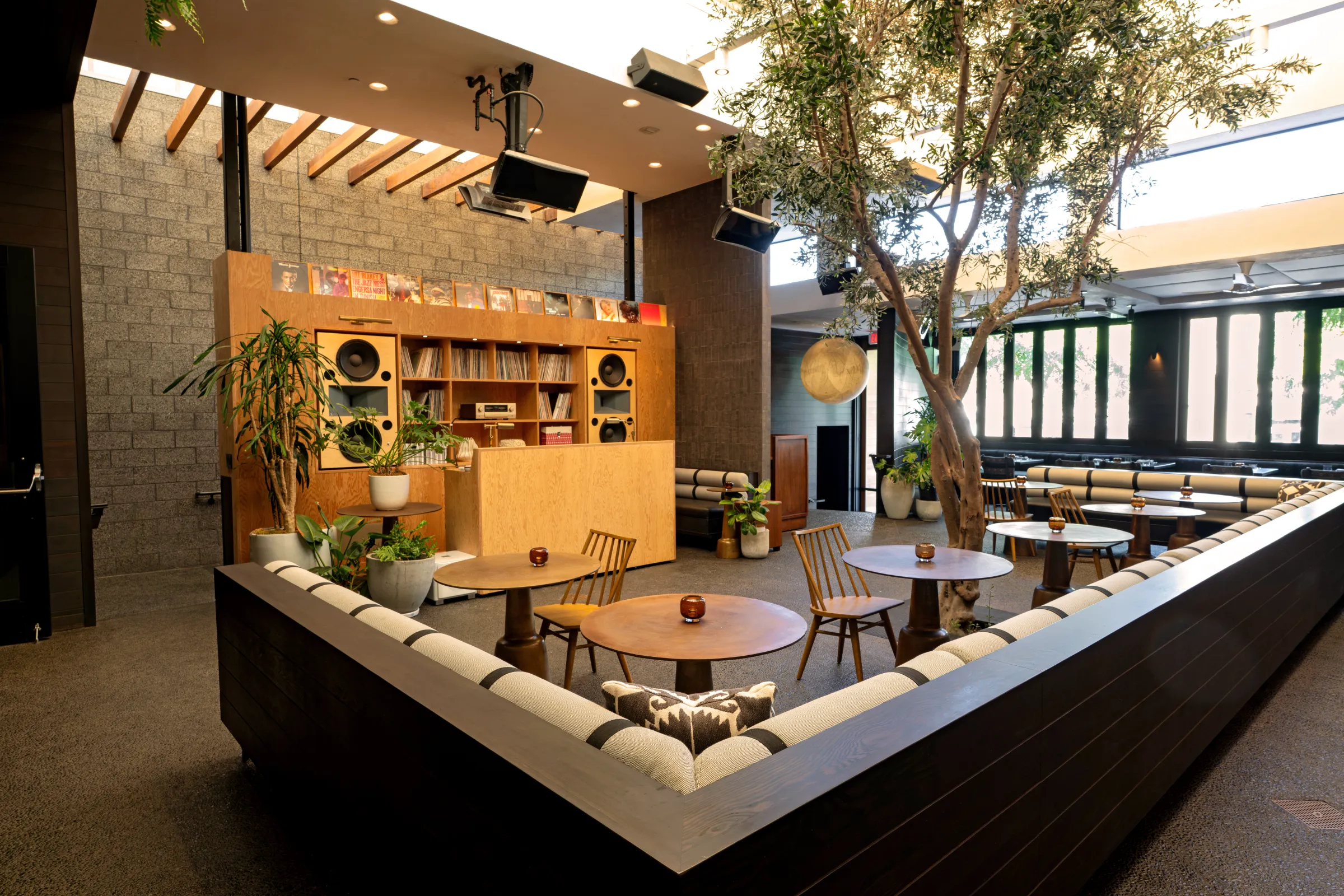The hi-fi lounge at Darling, sunken banquettes beneath the retractable canopy and an olive tree